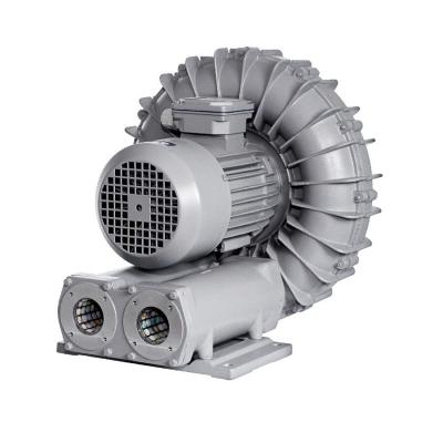 Компрессор одноступенчатый AquaViva 050 (BL050001M1500) Компрессор одноступенчатый AquaViva 050 (BL050001M1500)